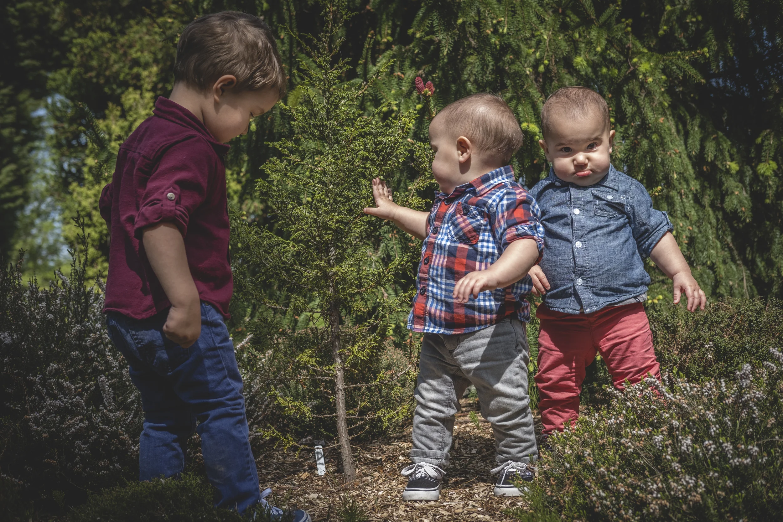 Wollf Boys 73.jpg