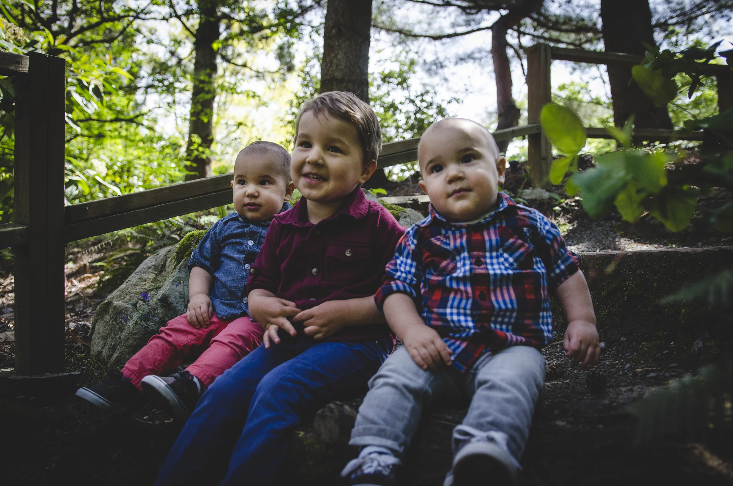 Wollf Boys 84.jpg