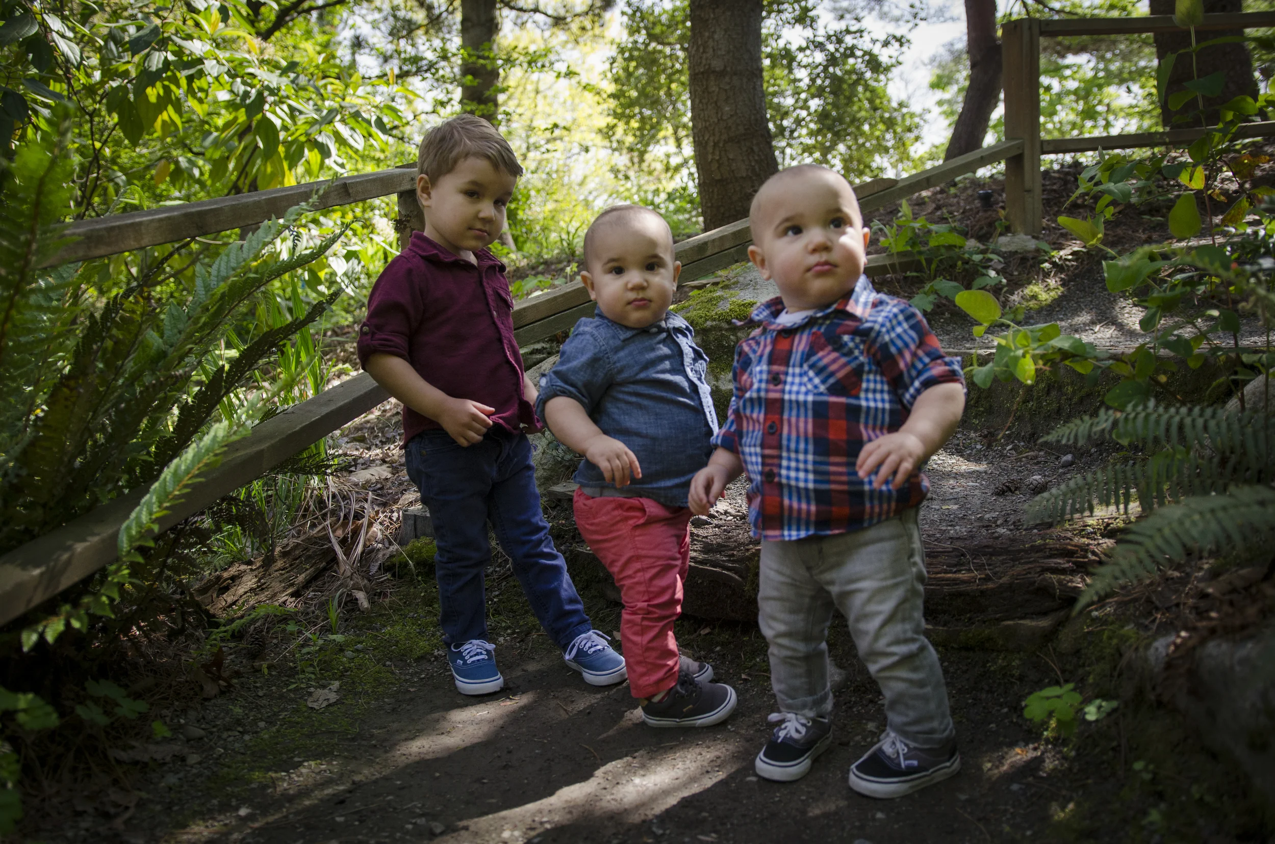 Wollf Boys 89.jpg