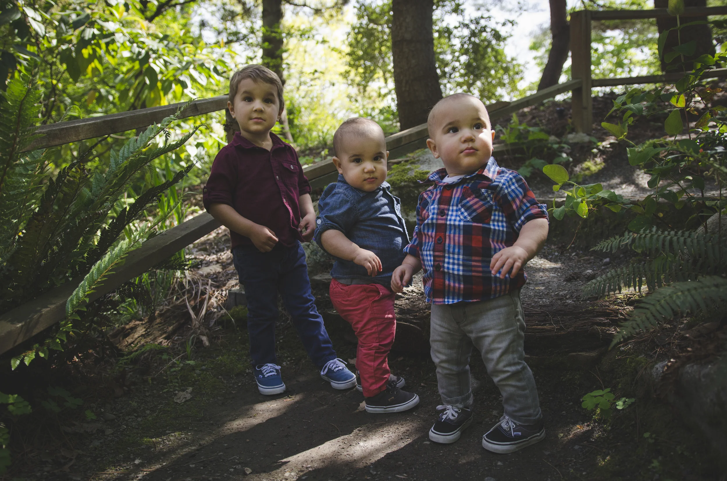 Wollf Boys 90.jpg
