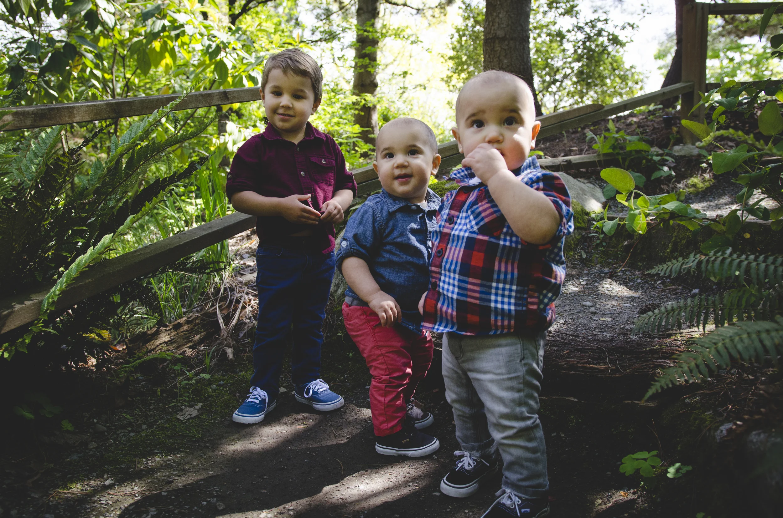 Wollf Boys 92.jpg