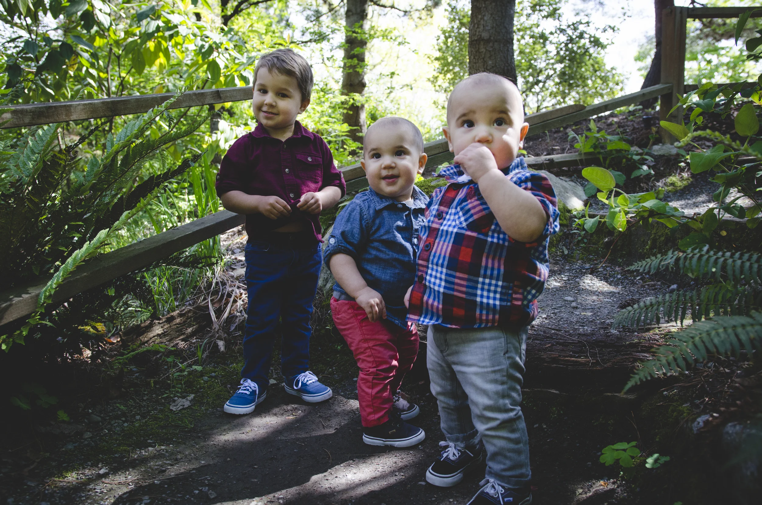 Wollf Boys 93.jpg