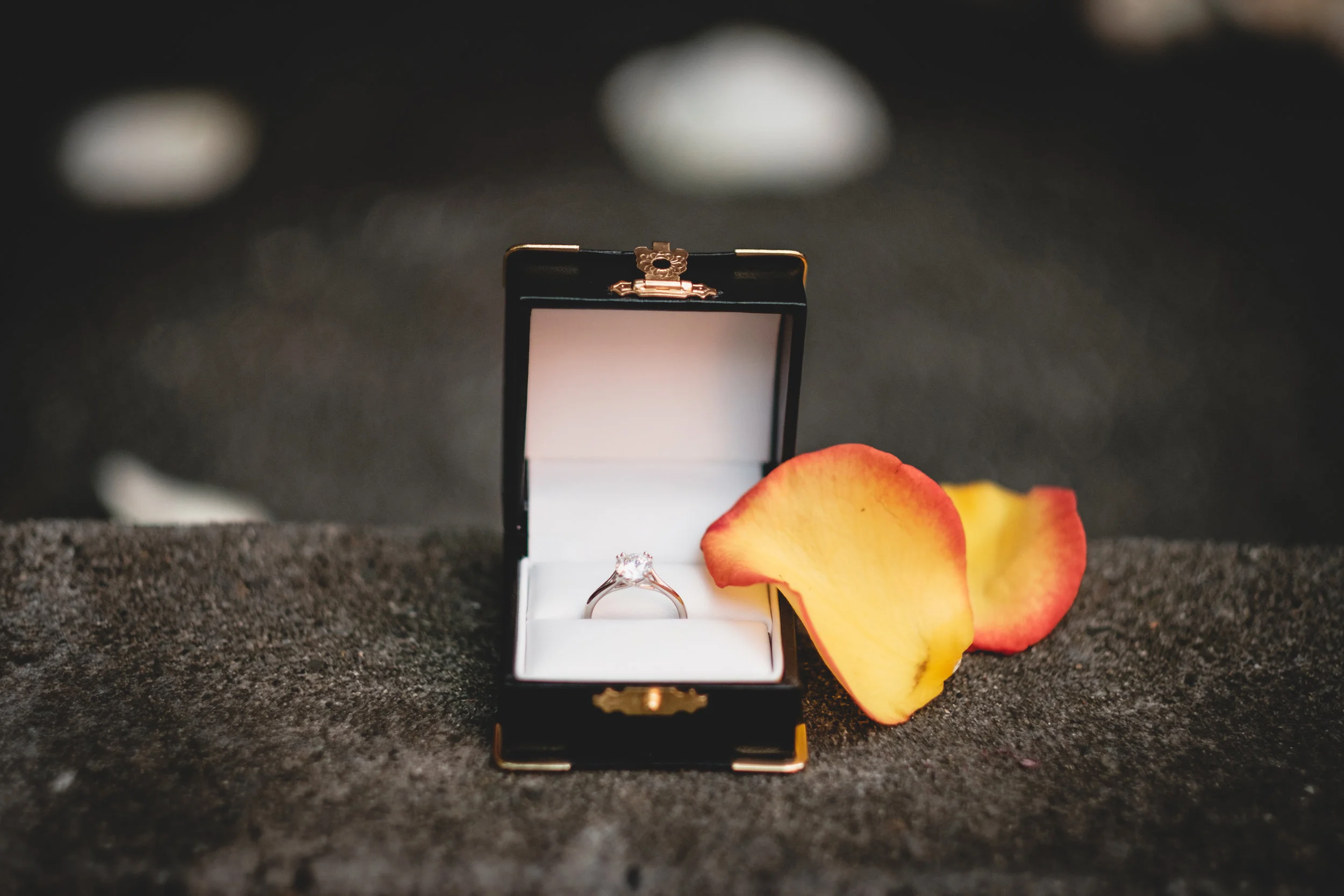 CrouchEngagement-107.jpg