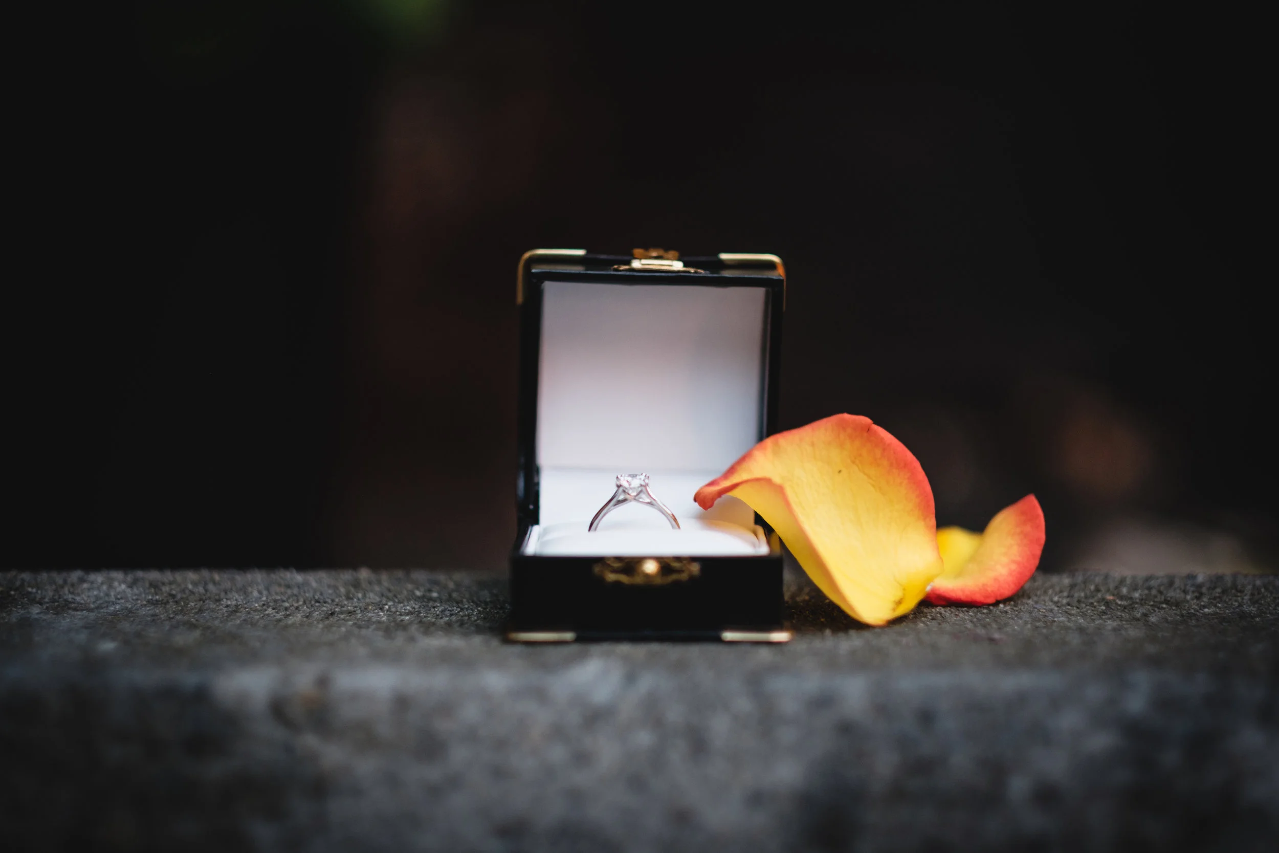 CrouchEngagement-108.jpg