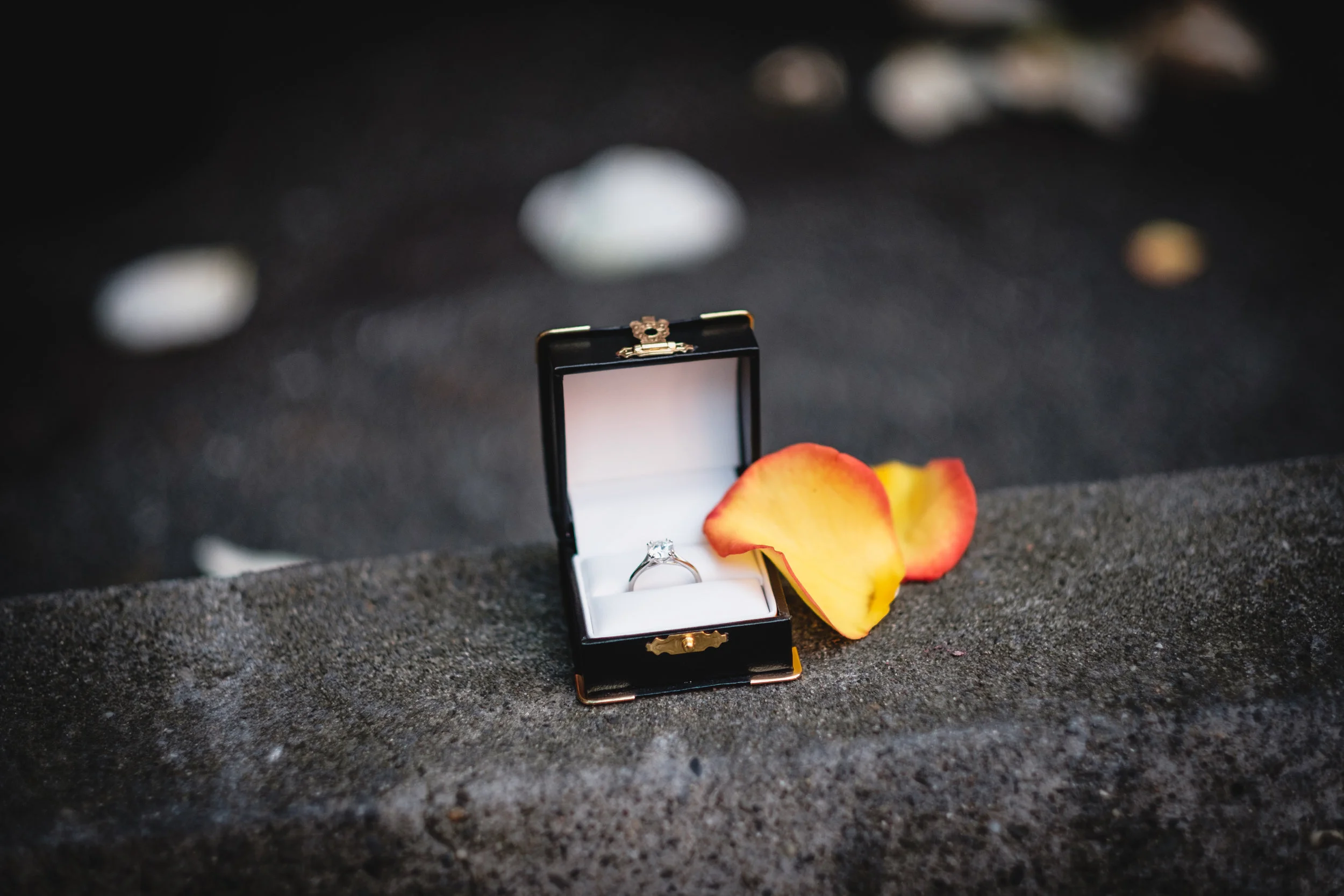 CrouchEngagement-109.jpg