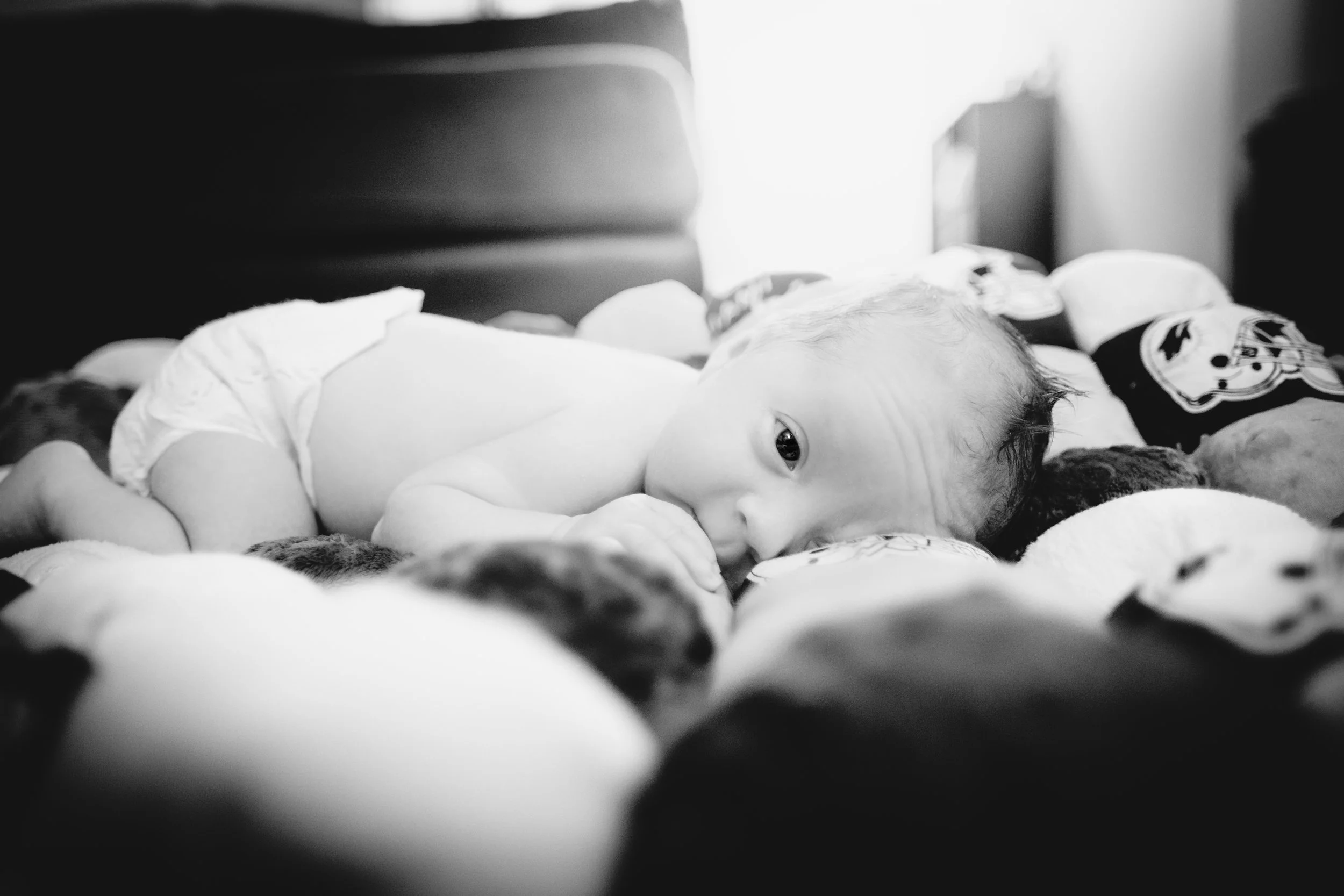 Declan and Family-4.jpg