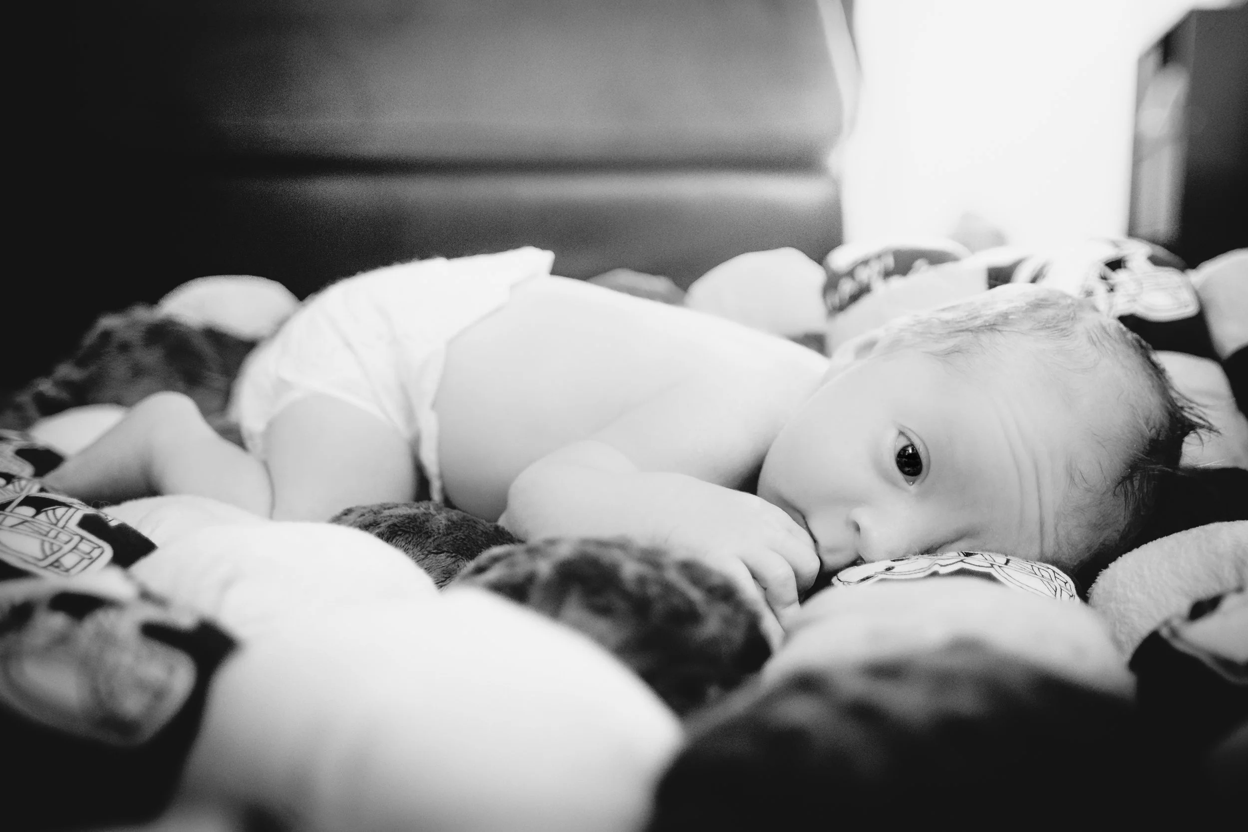 Declan and Family-7.jpg