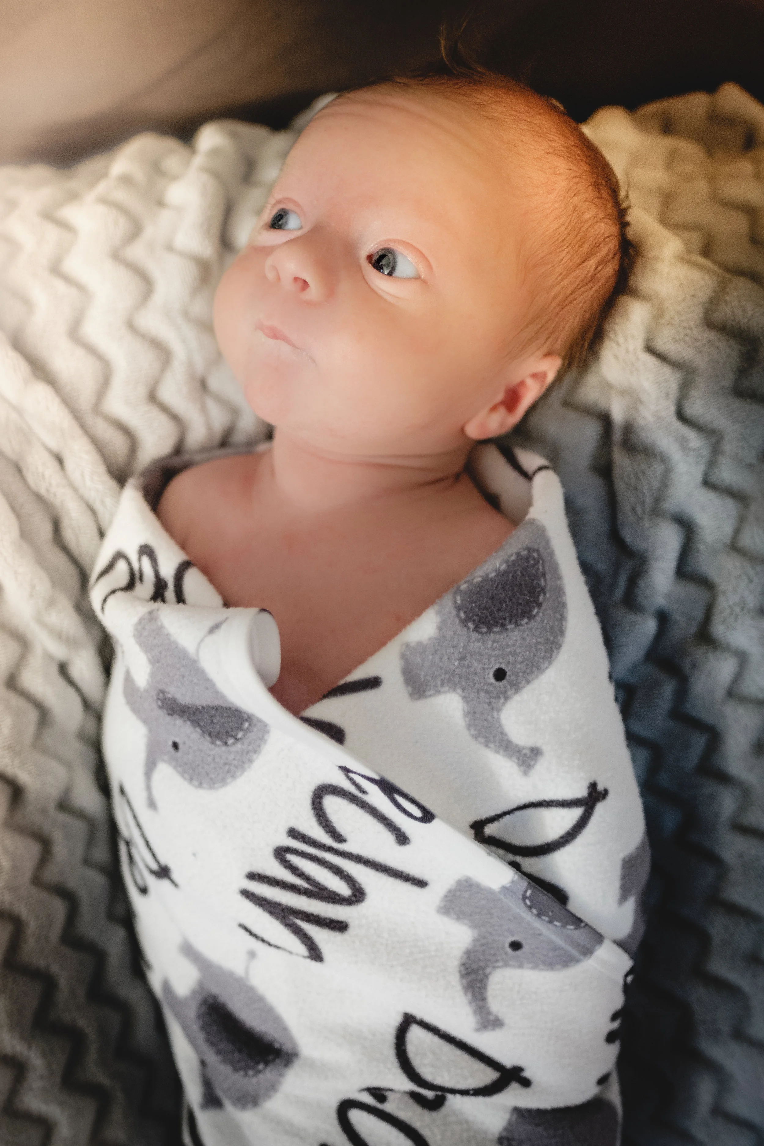 Declan and Family-26.jpg