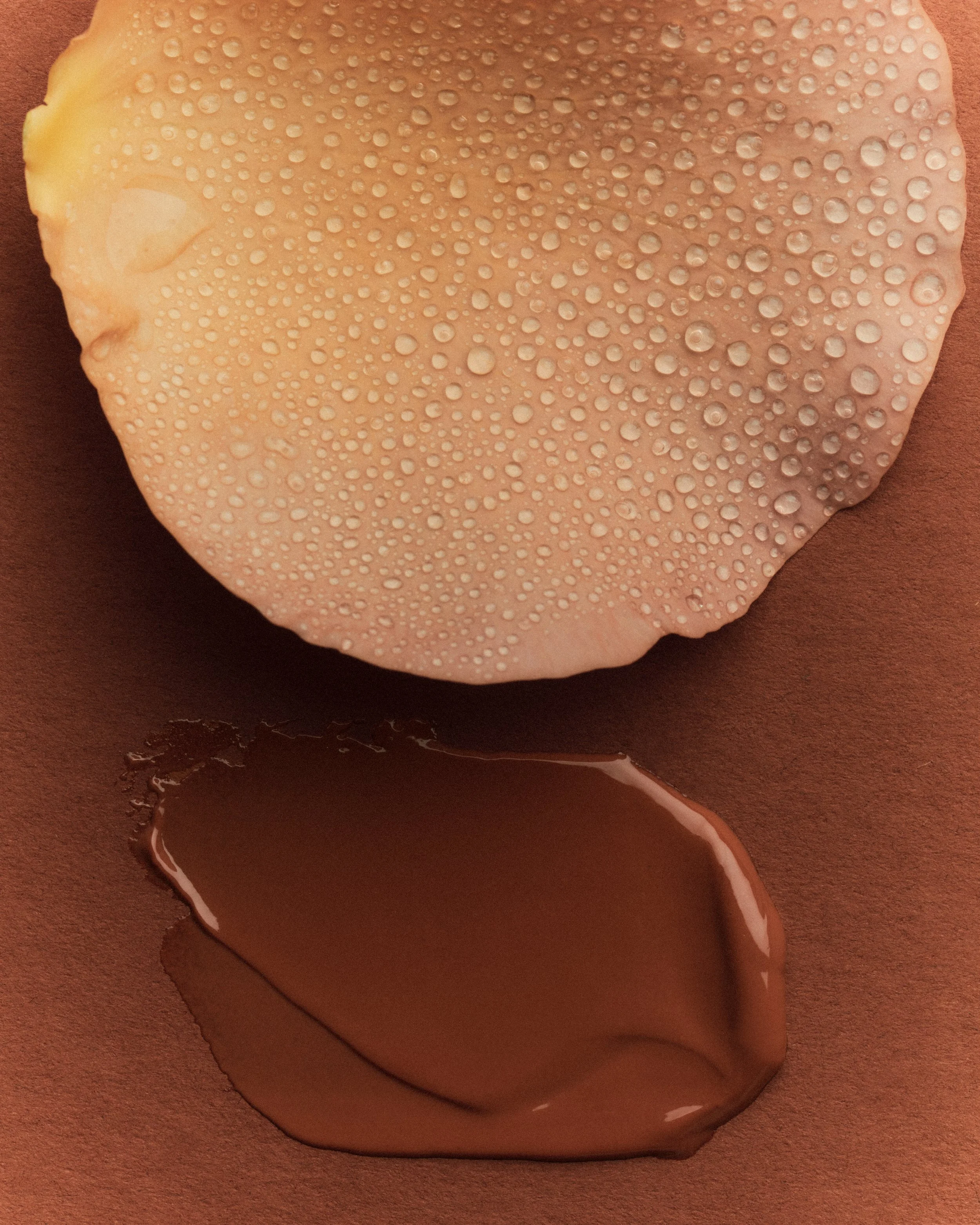 VIOLETTE FR_1225_259_APV.jpg