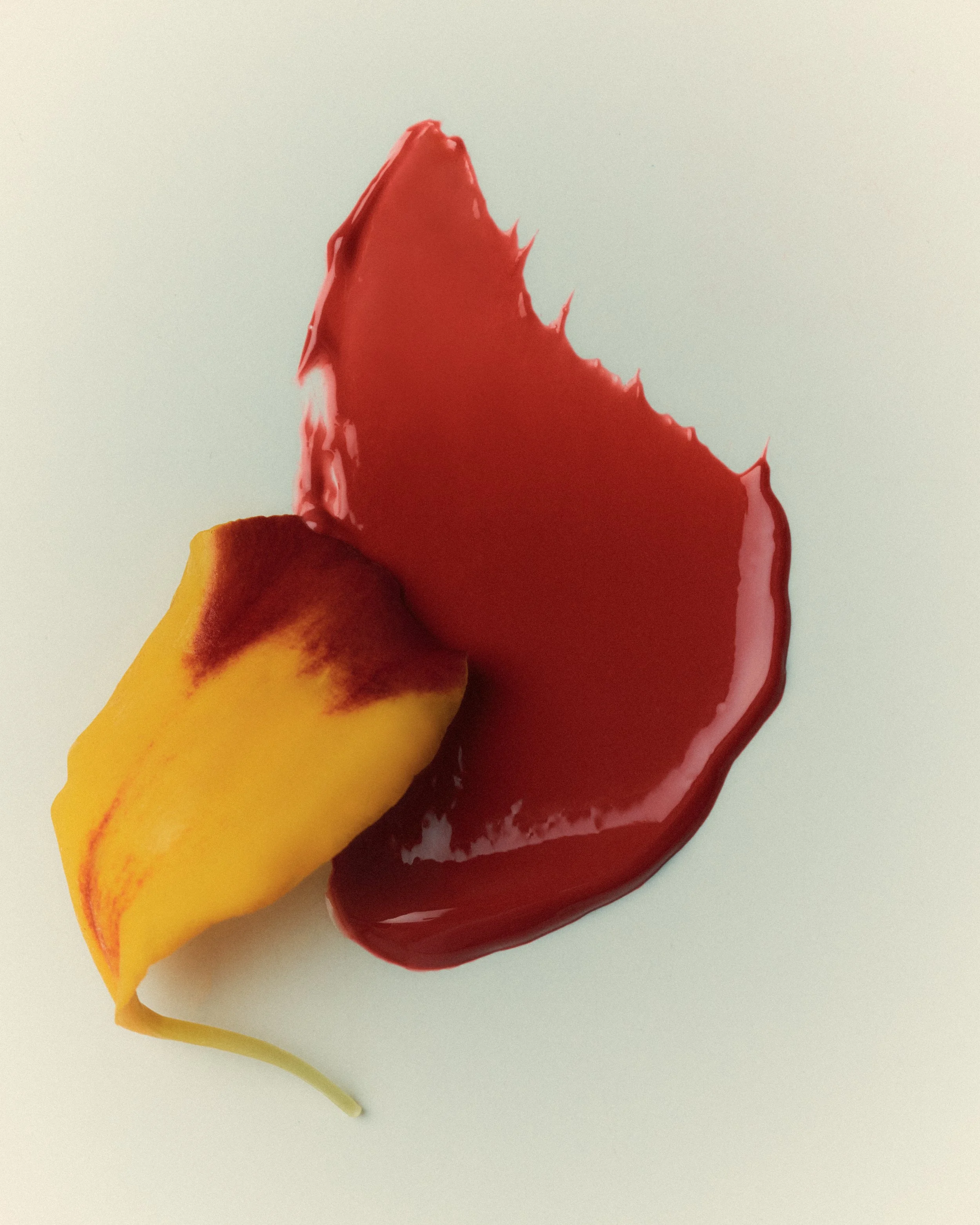 VIOLETTE FR_1225_072_APV.jpg