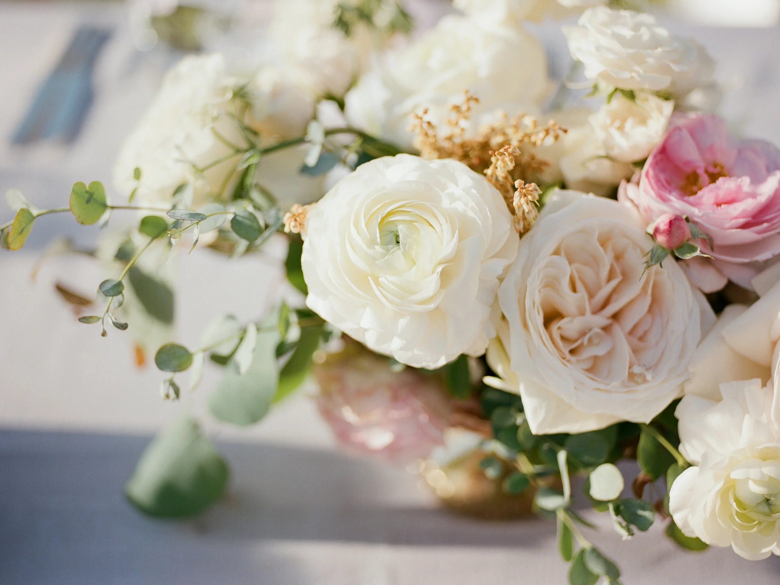 Anna Delores Photography_Lauren & Justin 04.29.17-677560060006.jpg