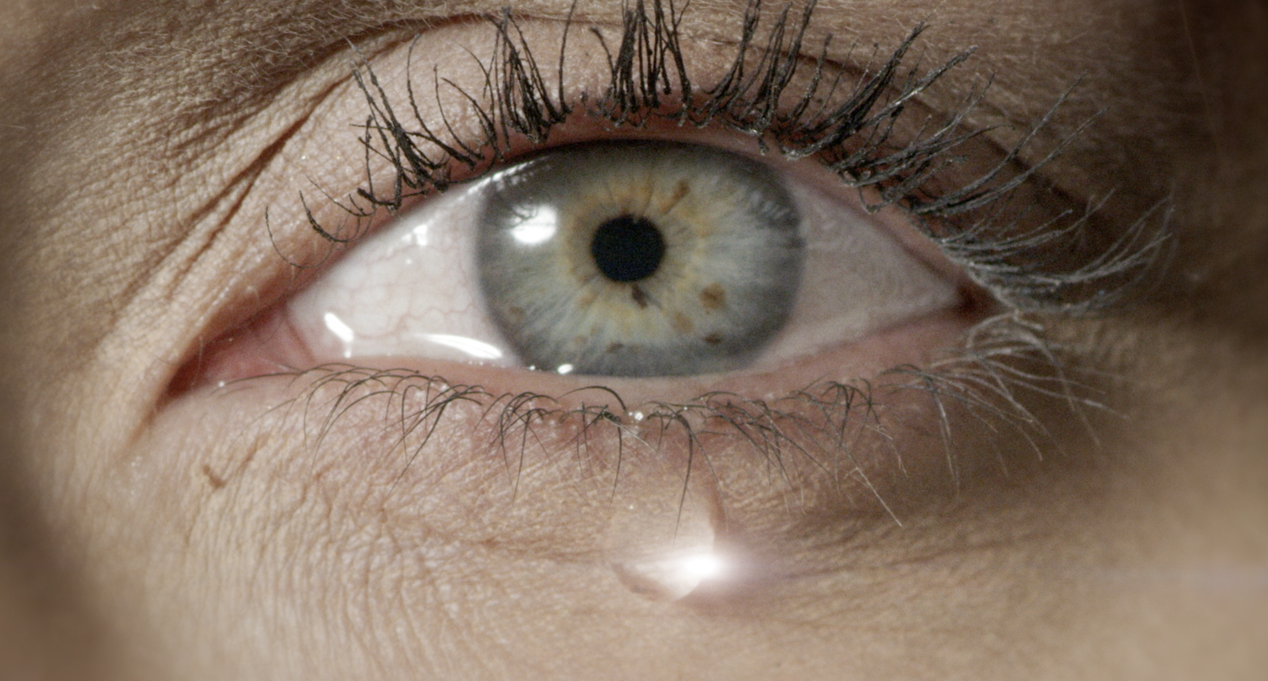 Screen Shot 2023-05-22 at 14.47.16.png