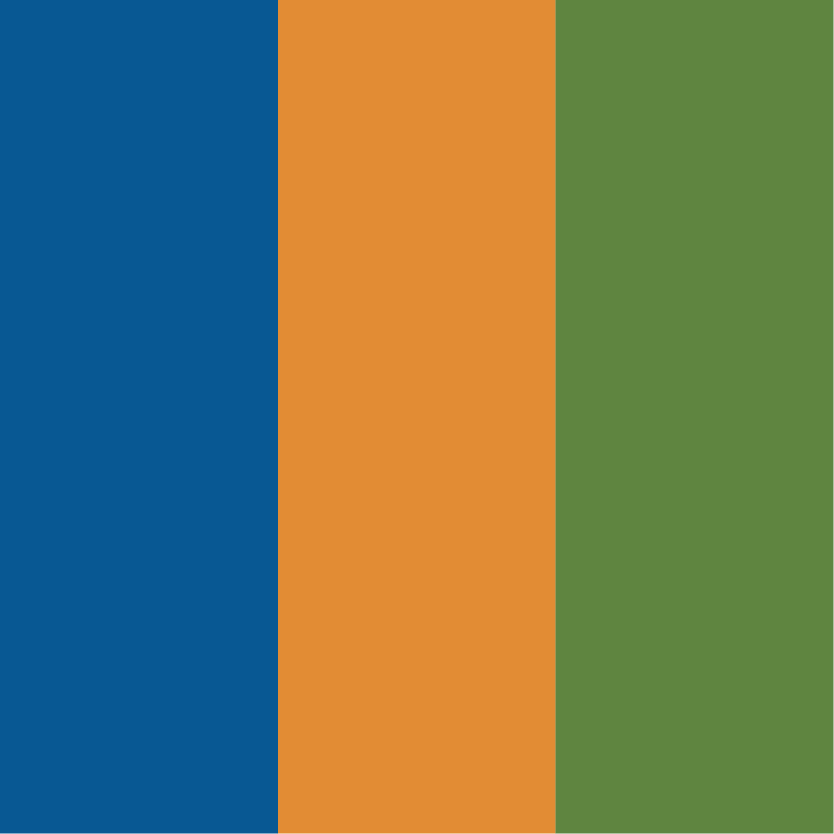 Portfolio_Squares_ColorPalettes1.png
