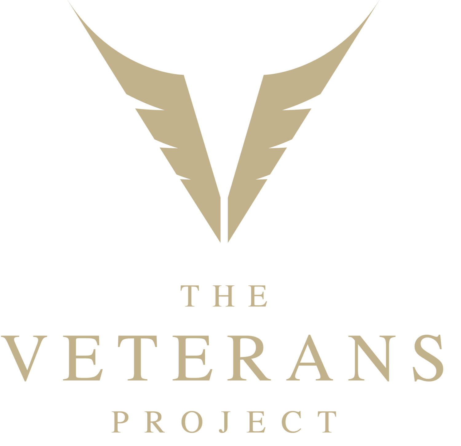 The Veterans Project