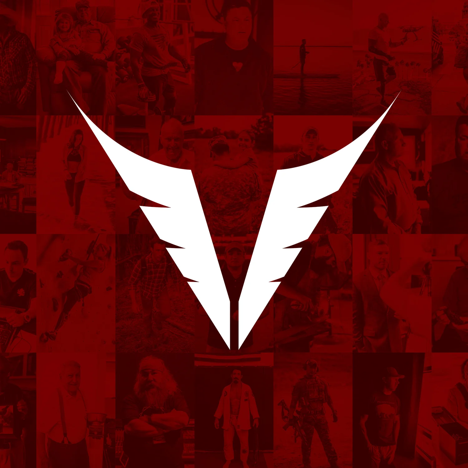 The Veterans Project Podcast artwork