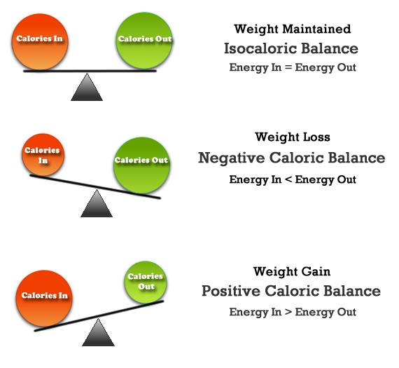 BalCalories2.png