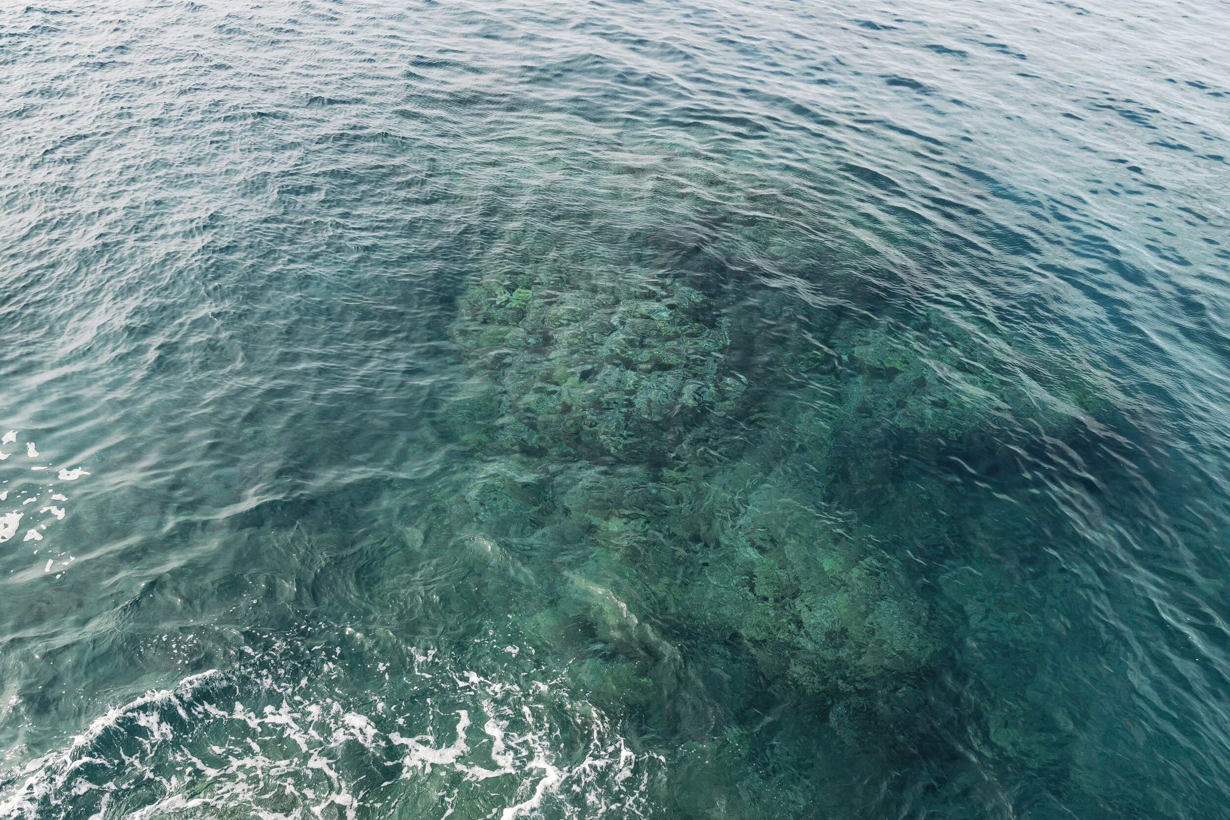 Livityocean_hi_katie_bricmont14.jpg