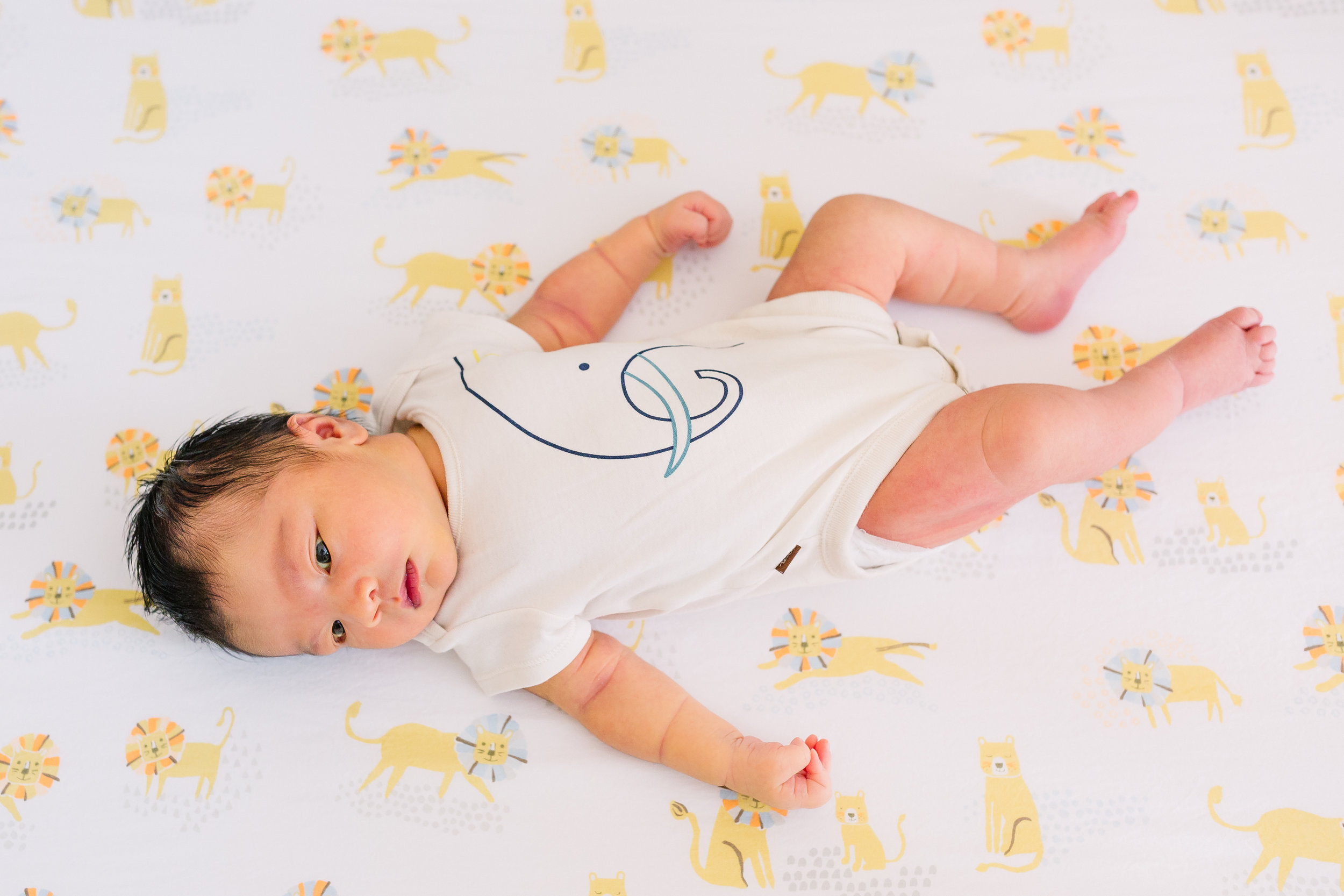 Max_Gole_Lifestyle_Newborn_Session_068.jpg