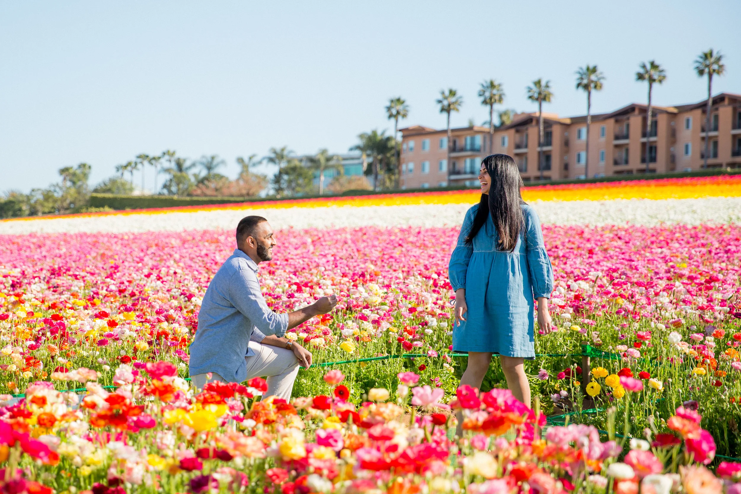 Ahsan_Sarah_Proposal_Carlsbad_Flower_Fields_016.jpg