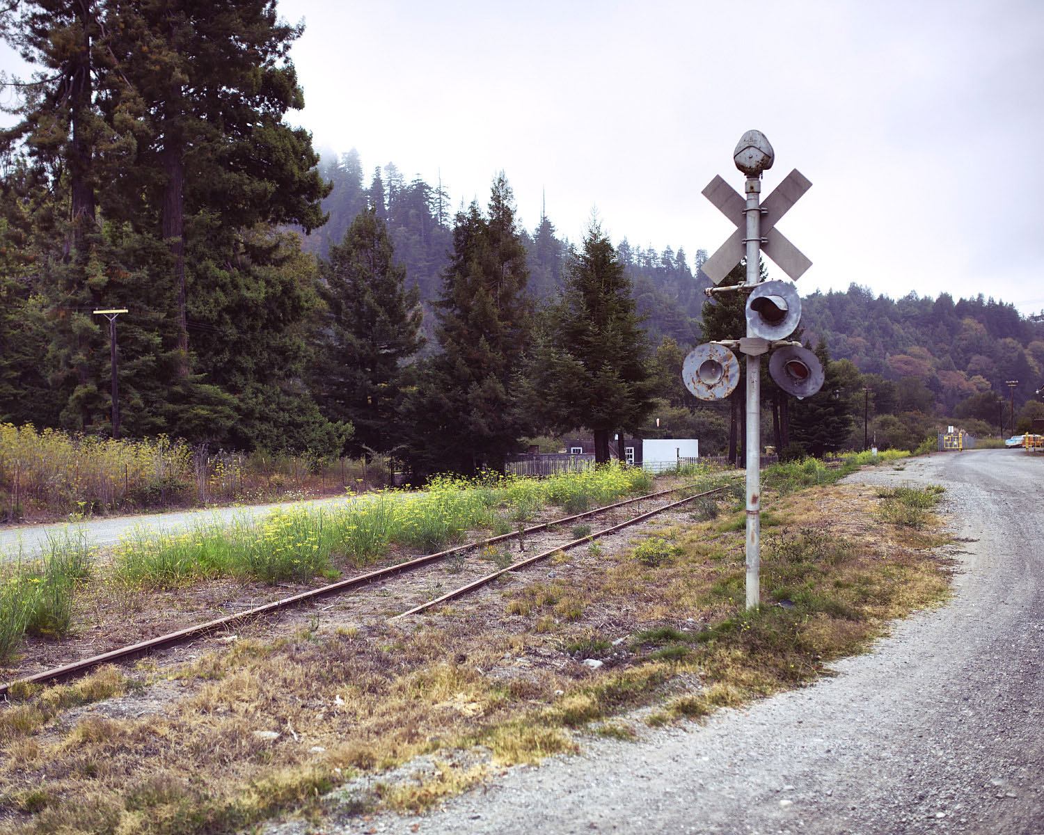 22_Crossroads_Scotia.jpg