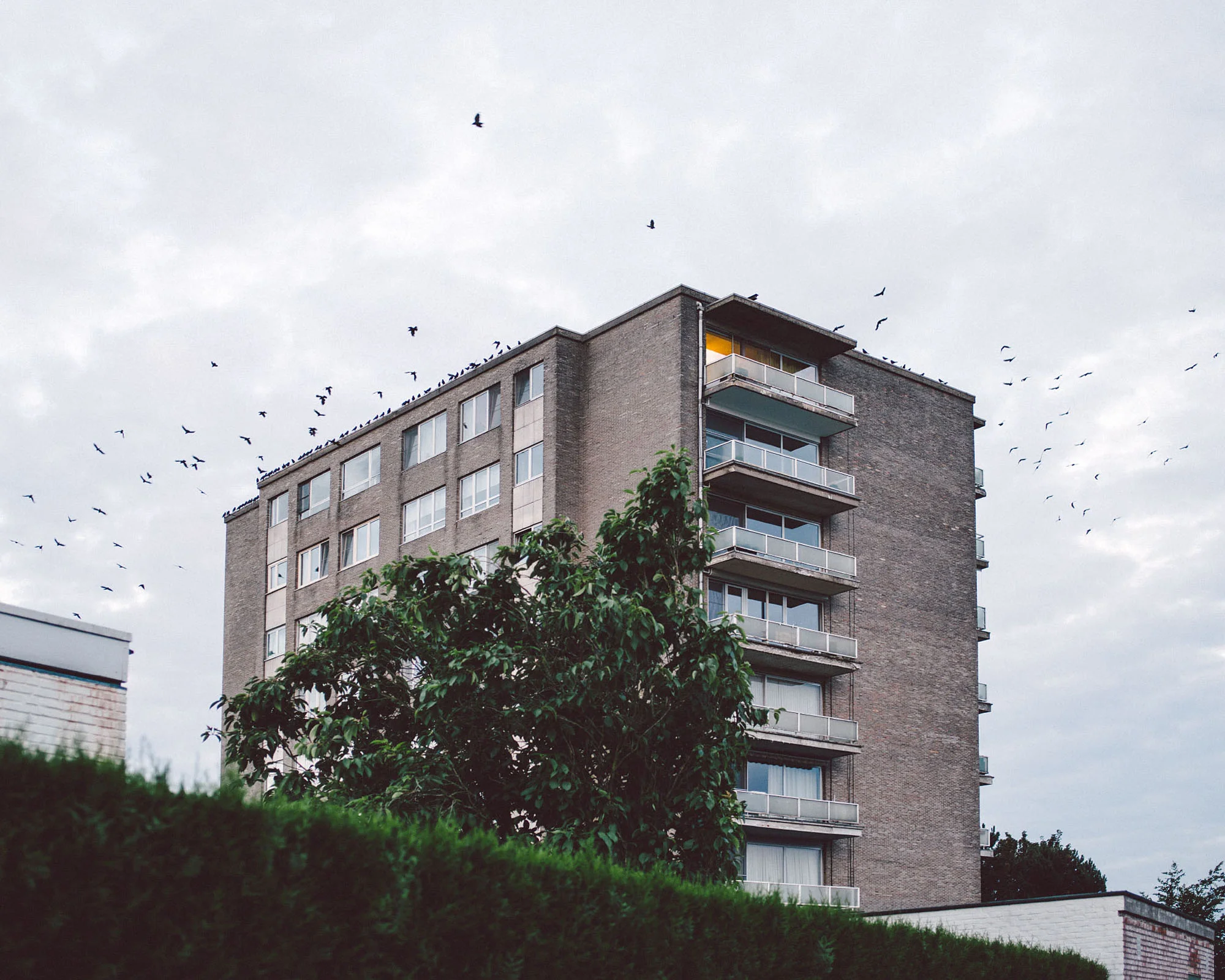 Grey Summer Garden is a portrait of a small community close to where I used to live. It mainly consists of social housing for people with low income. The area has a rather negative reputation, so in the summer of 2016, I went there with my camera almost every evening to see for myself what it actually looks like. I found an entirely opposite reality to how it’s commonly described. The people were incredibly open to a stranger with a camera, and sometimes the place made me feel like I was entering a different world. It’s reassuring to discover that kind of beauty right next door.