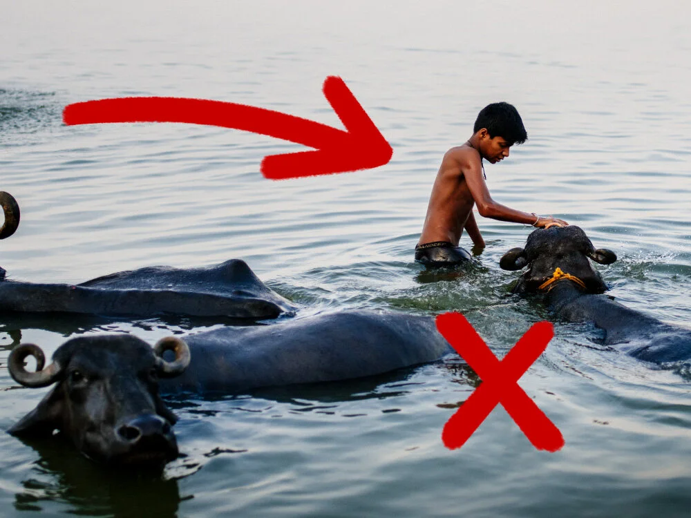 Don't Make These Photography Composition Mistakes!