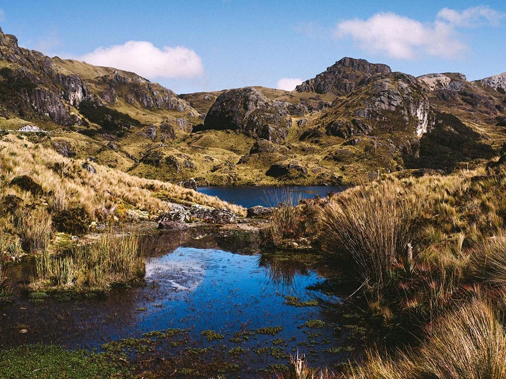 When in Ecuador–Visit Cajas National Park