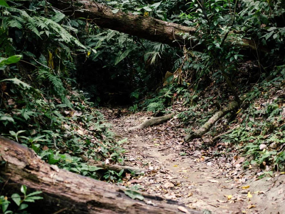 Tayrona National Park: A Quick Guide and Trip Report
