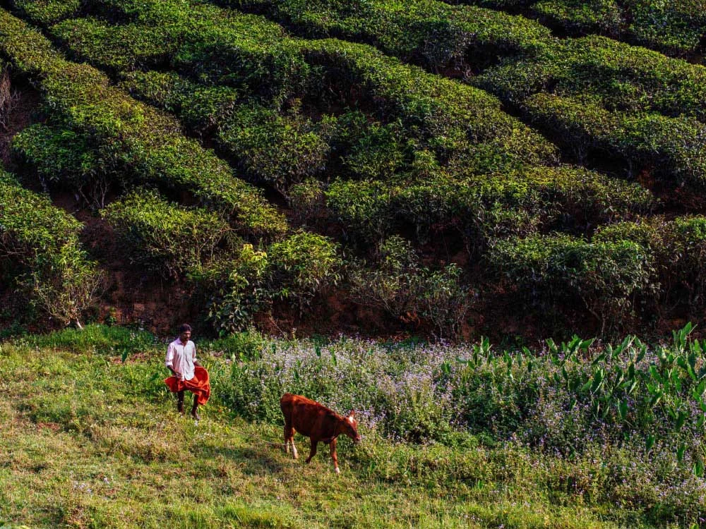 Want To Build a Career in Photography? Stop Saying No!