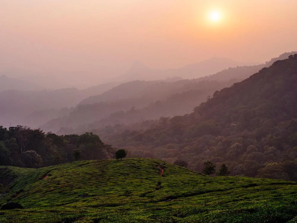 Travel Photography: This is The Gear You Need