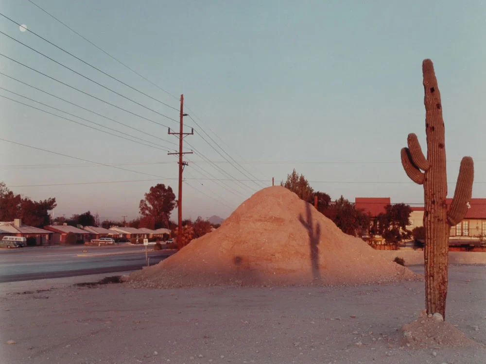 Learn From The Masters: Joel Sternfeld