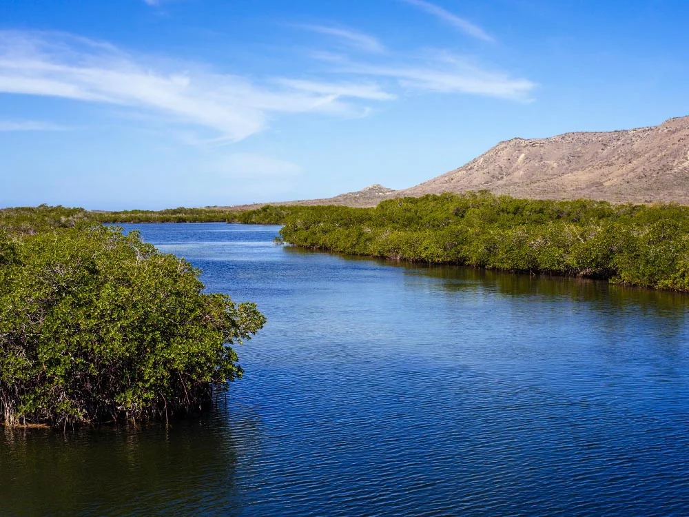 Dominican Republic: Off The Beaten Path in Montecristi