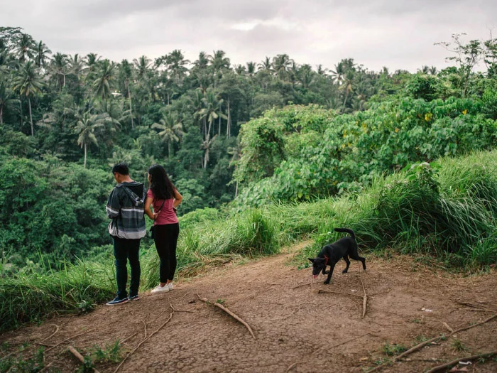 Ubud Is A Cultural Paradise... Or Is It?
