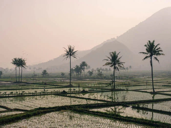 On A Train From Bandung To Yogyakarta