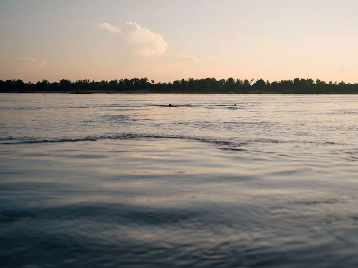 Exploring The Mekong: On The Lookout For The Irrawaddy Dolphins