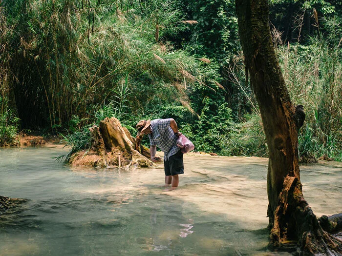 Looking for something?