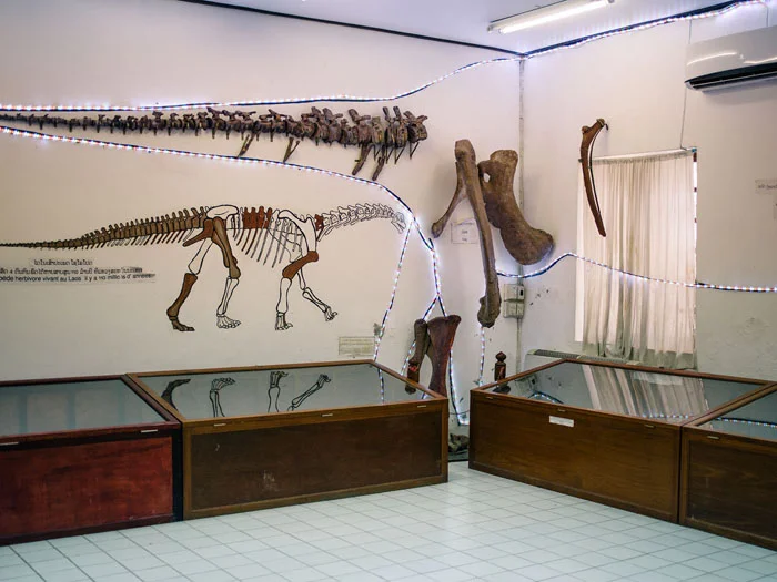 The Amazing and Spectacular Dinosaur Museum in Savannakhet