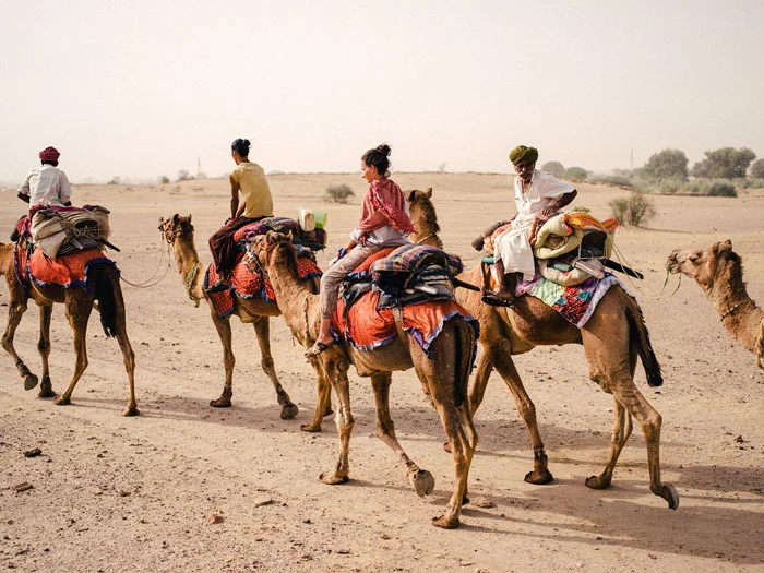 A Camel Safari In Jaisalmer: Once In A Lifetime
