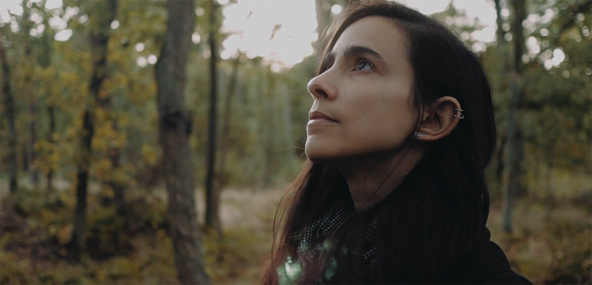 CANON M50: How to Shoot a Cinematic Video in the Forest — JORIS HERMANS