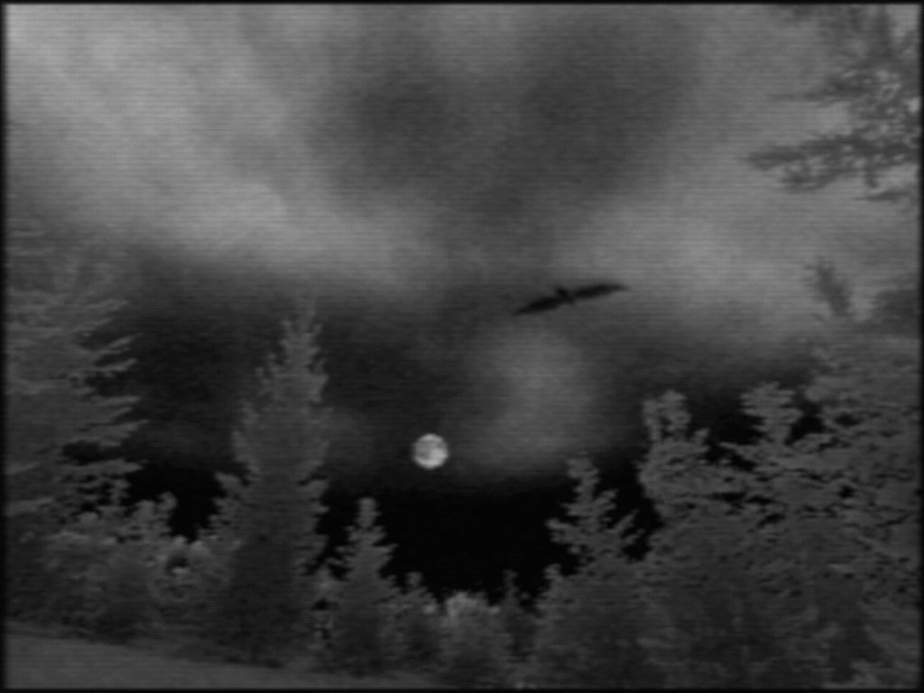  Bill Viola, The Night Journey, 2007-, still frame from video installation.