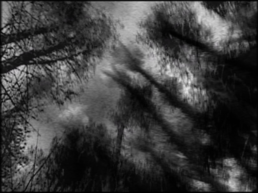  Bill Viola, The Night Journey, 2007-, still frame from video installation.