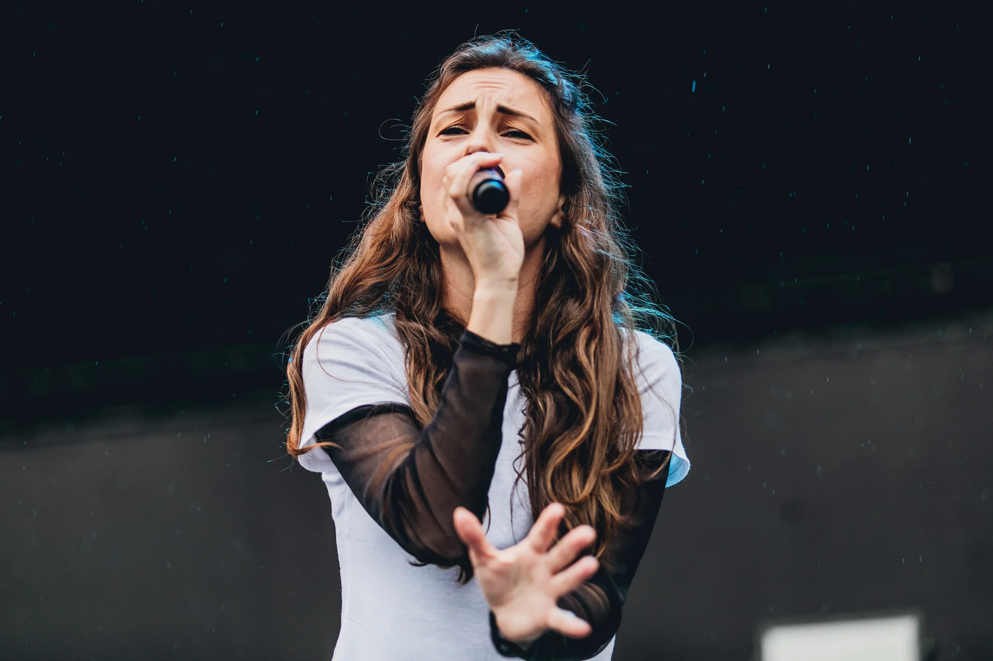 AMY SHARK