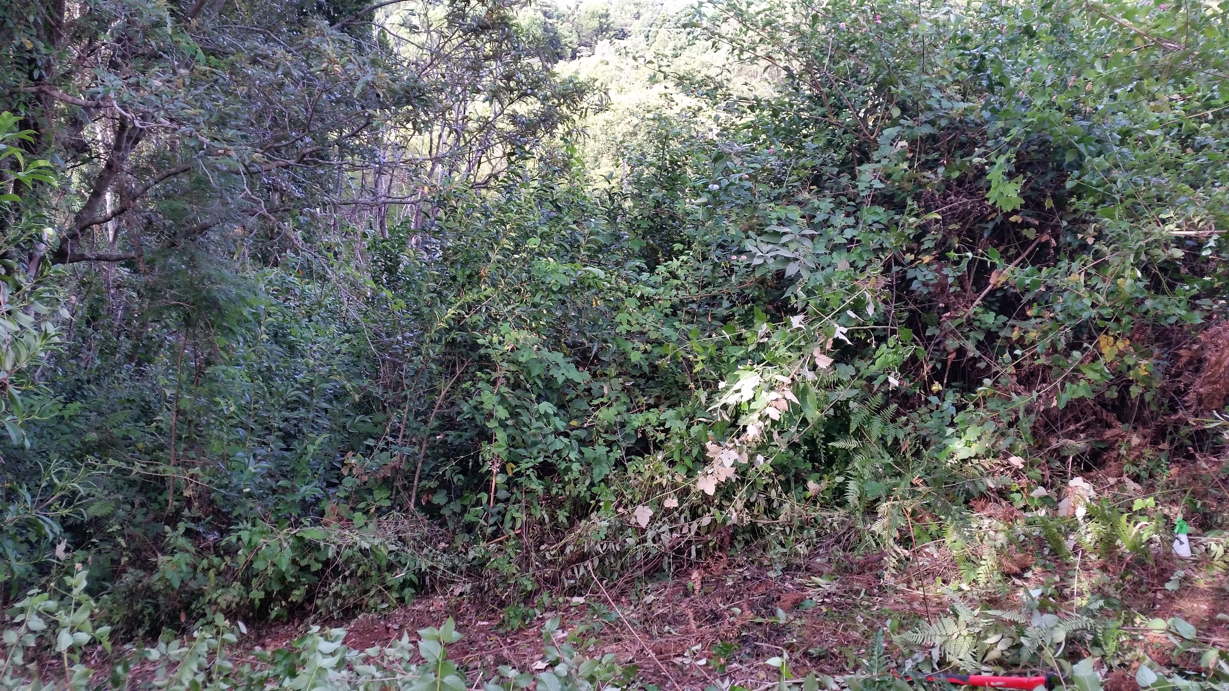 20160419_075921.jpg