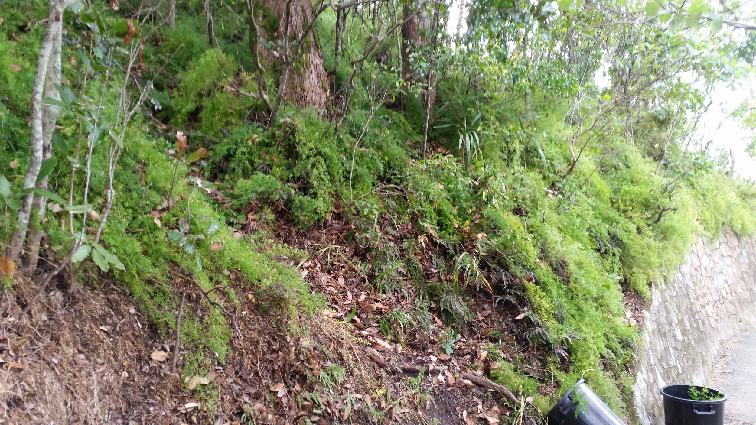 20160414_102204.jpg
