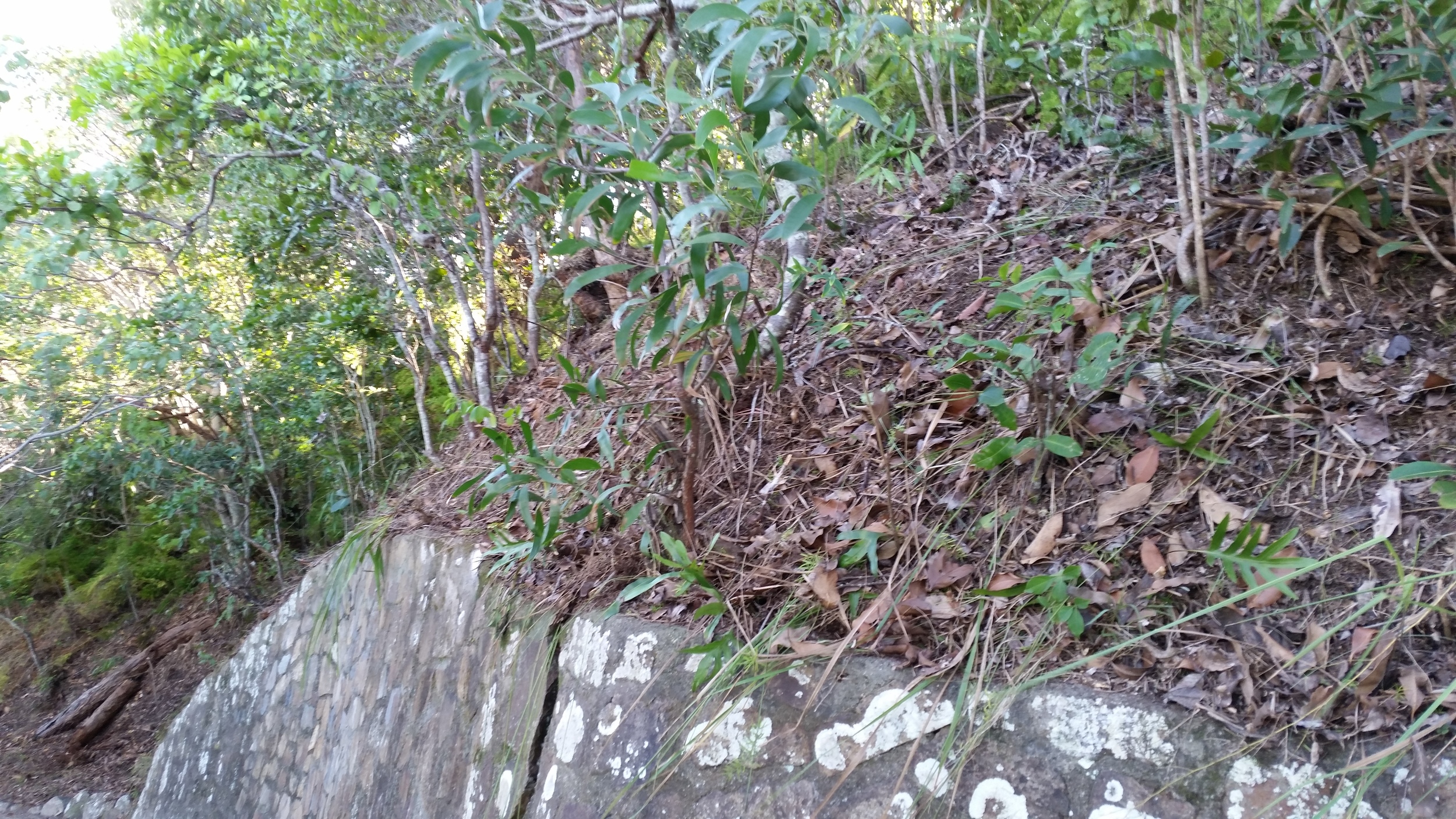 20160504_142936.jpg