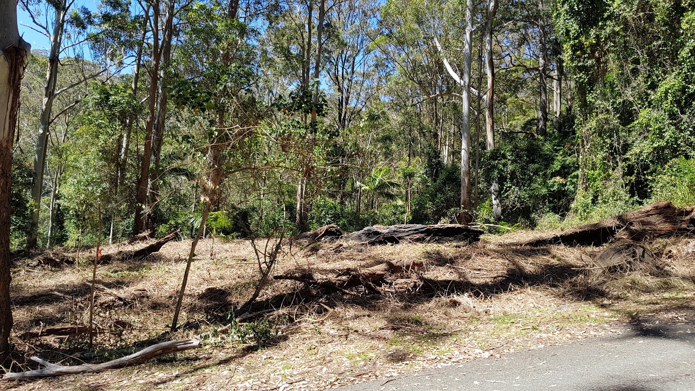Photo 2. After photo of Splatter Gun results. Site ready for planting one month later