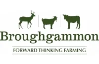 broughgammon.jpg