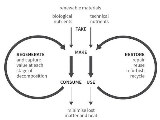 The Butterfly Economy - Taken from Doughnut Economics: Seven Ways to Think Like a 21st-Century Economist
