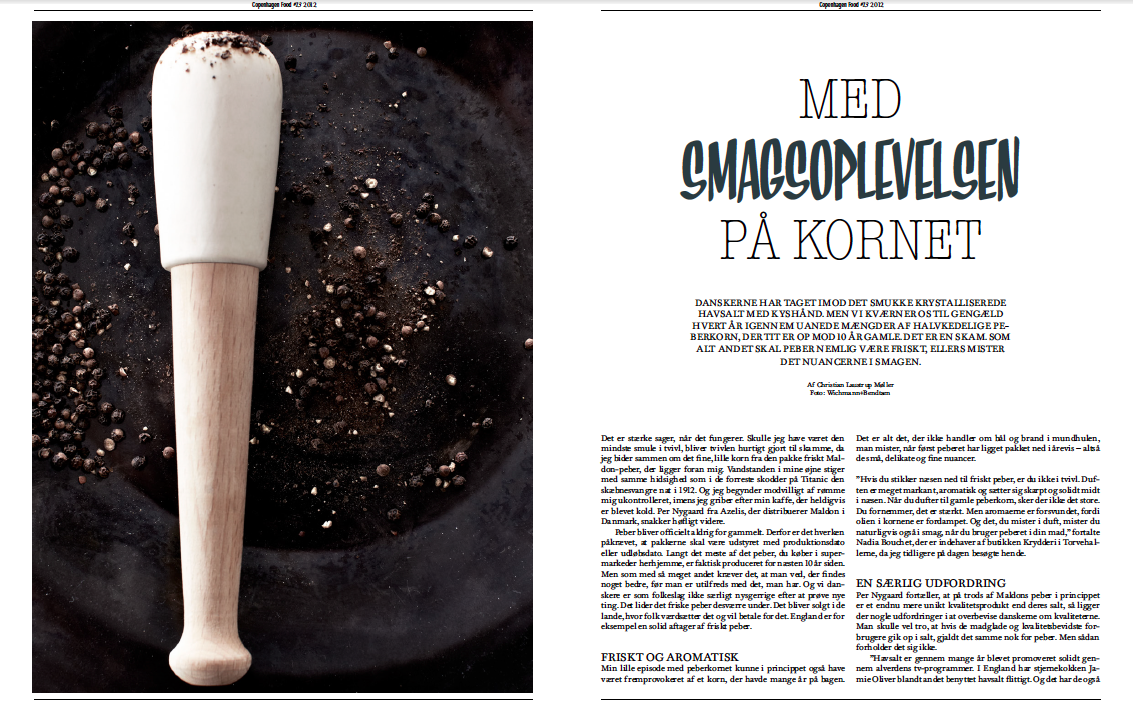 Skærmbillede 2016-03-23 kl. 16.08.10.png