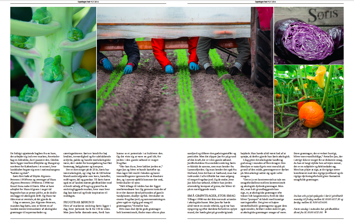 Skærmbillede 2016-03-23 kl. 17.52.11.png